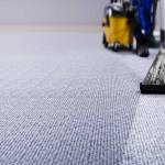 Brooklyn Carpet Cleaning Services Profile Picture