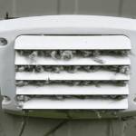 Philadelphia Dryer Vent Cleaning Services Profile Picture