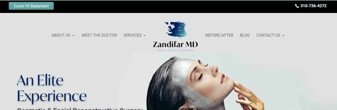 Zandifar MD Cover Image