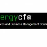 The Energy CFO USA profile picture