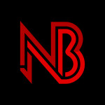 Nations Bizz Profile Picture