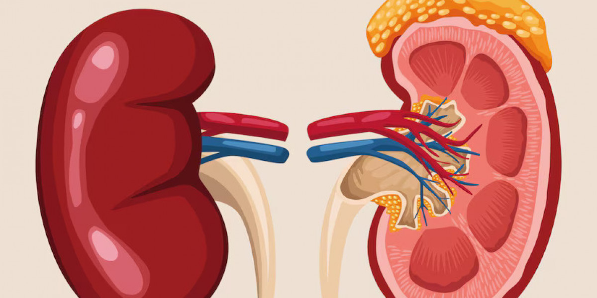 The Power of Ayurvedic Treatment for Kidney Swelling: Healing Kidneys Without Side Effects