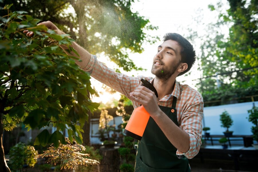 Professional Commercial Tree Surgeons and Tree Removal in Belfast