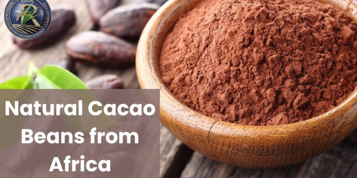 Natural Cacao Beans from Africa: The Rich, Organic Delight for Global Markets