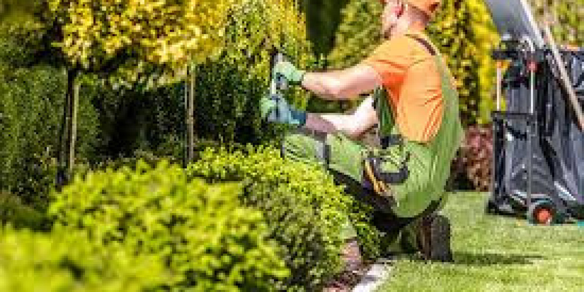 Landscape Construction in Spanish Fork, UT