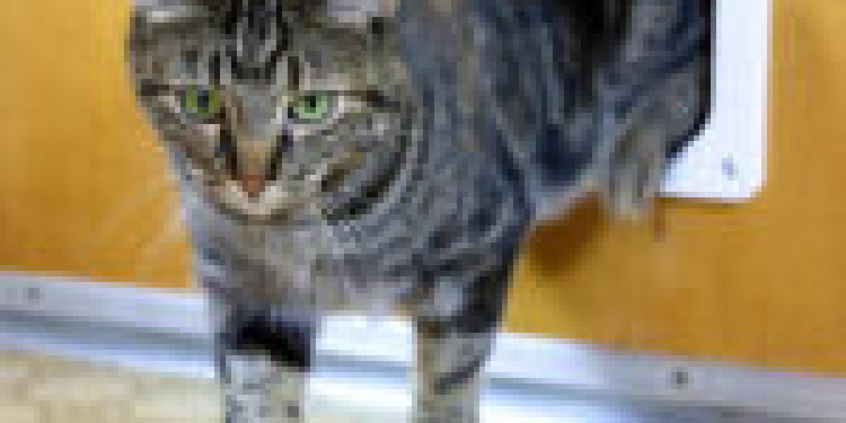 The Reasons Trained Cat Flap Fitter Is Everywhere This Year