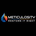 Meticulosity Cleaning and Restoration profile picture