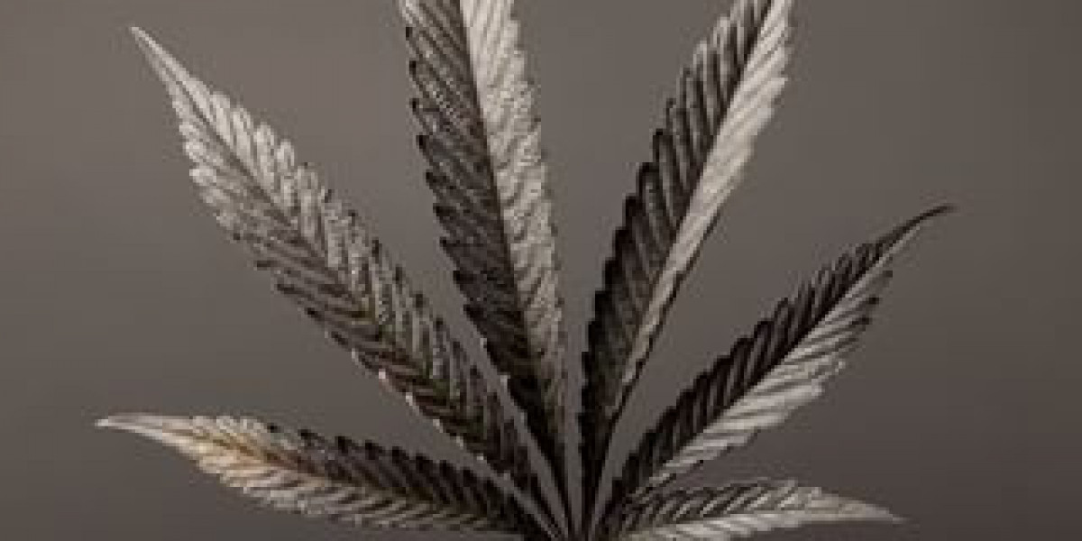 Exploring the Best Cannabis Shops in Toronto and Weed Stores in Thornton