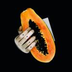 MyNightmate Sex Toys profile picture