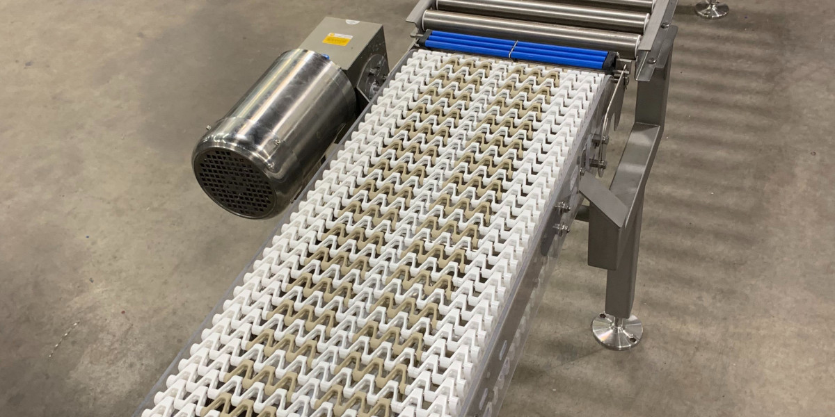 The Role of Side Belt Transfer Conveyors in Pharmaceutical Packaging