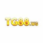 TG88 Ws profile picture