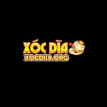 xocdiiaorg profile picture