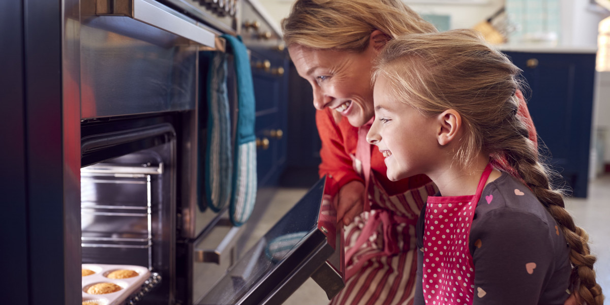 Introduction To The Intermediate Guide To Built-In Electric Ovens