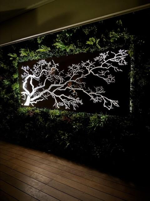 Transform Boring Walls Into Backyard Showstoppers – Designer Plants®