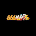 666vnpro profile picture
