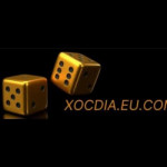 Xóc Đĩa Xóc Đĩa Profile Picture
