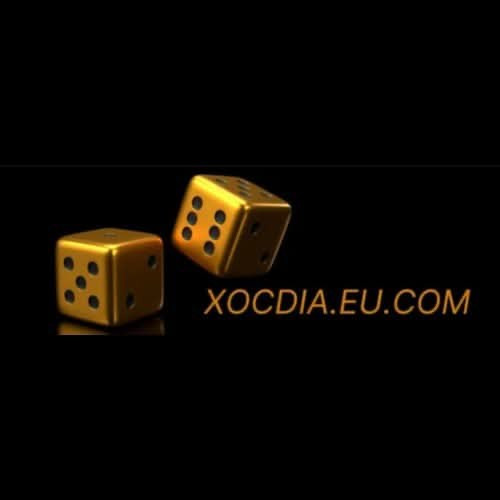 Xóc Đĩa Xóc Đĩa Profile Picture
