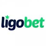 Ligo giris profile picture