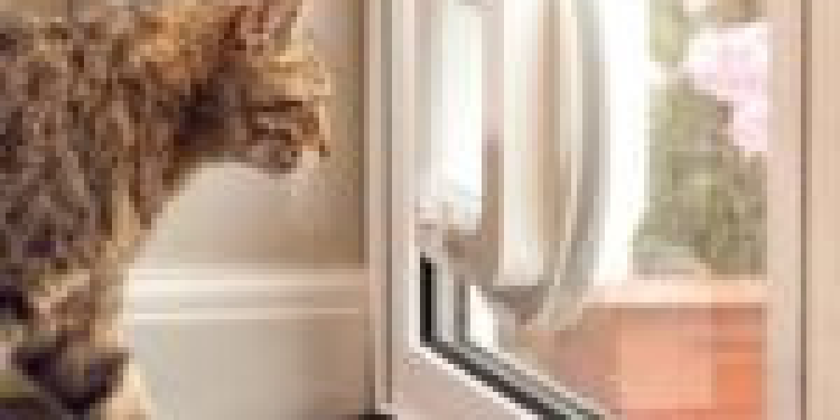 Feline Flap Installer Tools To Improve Your Everyday Life