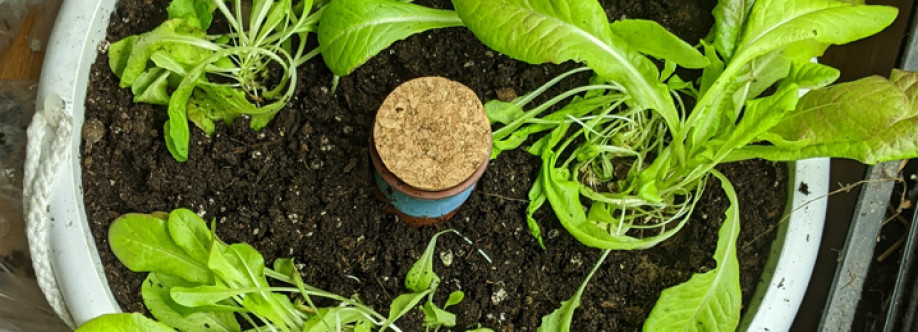Smarti Living Cover Image