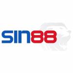 Sinn 88 profile picture