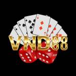 VND 88 profile picture