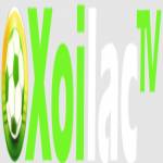 xoilactvnvncc die web profile picture