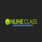 Online Class Professionals profile picture
