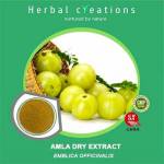 herbal profile picture