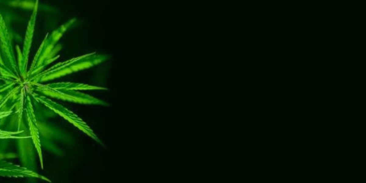Industrial Hemp Market Size, Share, Growth Potential and Industry Forecast by 2032