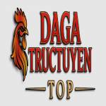 Đá Gà Trực Tuyến profile picture