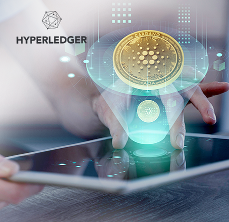 Hyperledger Blockchain Development Services | Damco Solutions