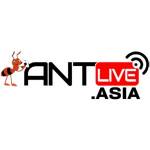Antlive profile picture