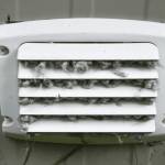 Aliso Viejo Dryer Vent Cleaning profile picture