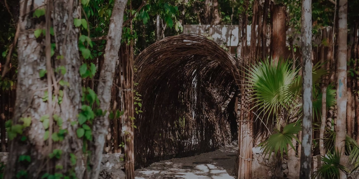 Escape to Bliss: Discover the Ultimate Holistic Wellness Retreat in Riviera Maya