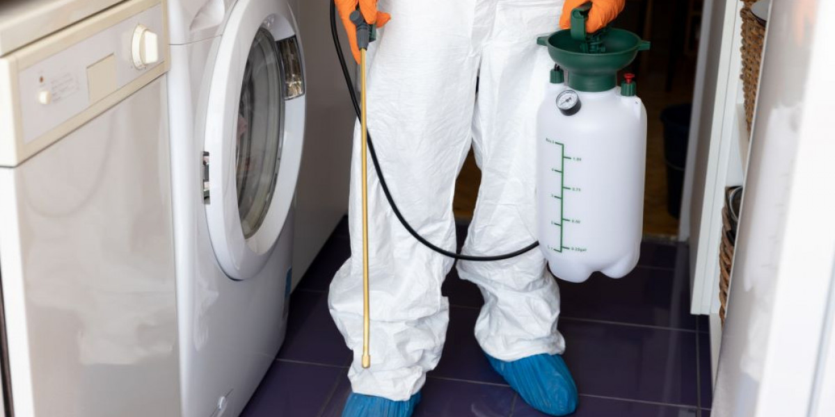 Types of Termite Control Treatment: Protect Your Home from Destruction