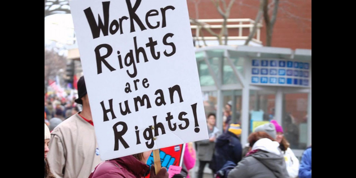 Navigating Human Rights Claims in the UK with Immigration Solicitors4me: Expert Immigration Lawyer for Protection