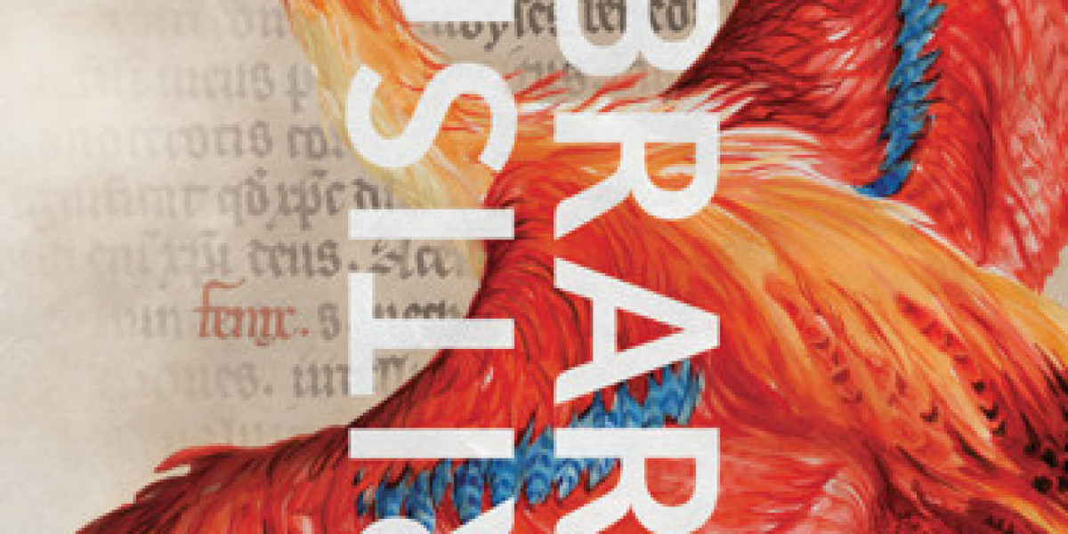 Harry Potter Exhibition: Rare Treasures Revealed