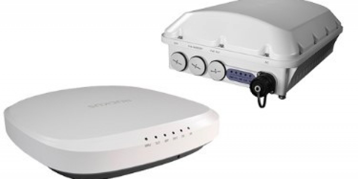 Dominate the Digital Space with Elite MSP WiFi Solutions