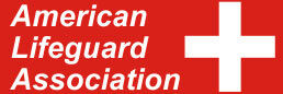 American Lifeguard USA Profile Picture