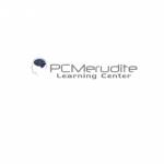 PC Merudite profile picture