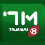 7mmiami 7mmiami profile picture