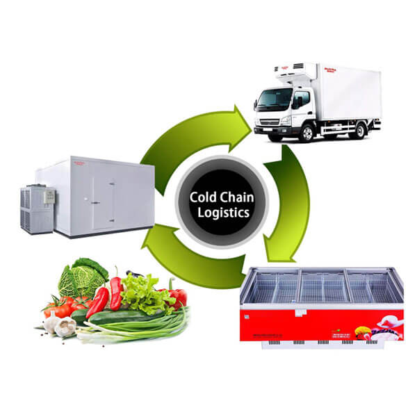 Cold Chain Monitoring and Solutions - Renke