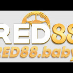 RED 88 88 profile picture