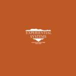 Experiential Systems Inc profile picture