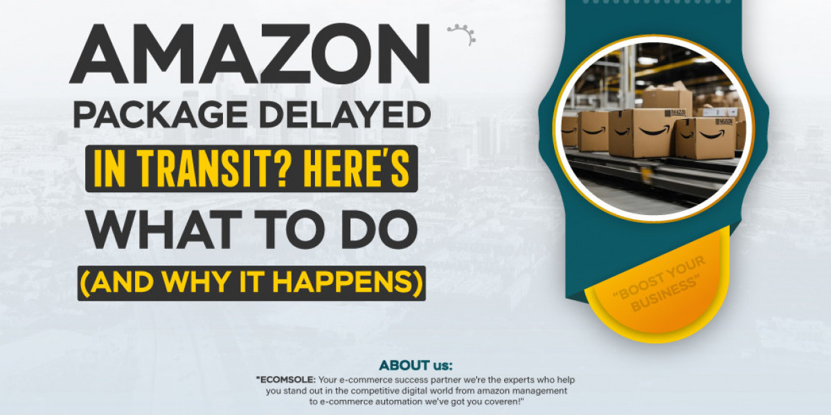 Amazon Package Delayed in Transit