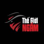 TheGioiNgam UK profile picture