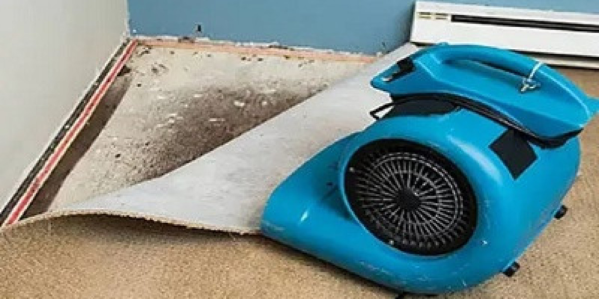 What to Do When Your Basement Floods: Step-by-Step Guide