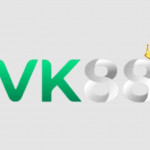 VK 88 profile picture