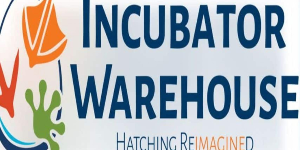 Choosing the Best Automatic Incubator for Quail Eggs